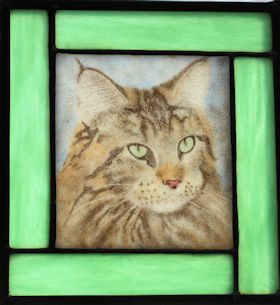 Maine coon fused glass portrait
