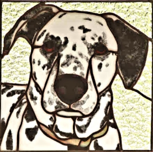 Dalmatian