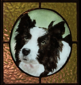border collie