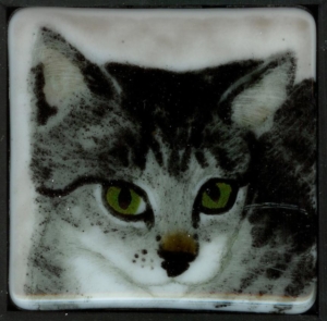 Cat Coaster