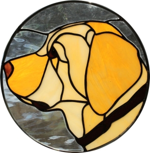 yellow-lab-profile